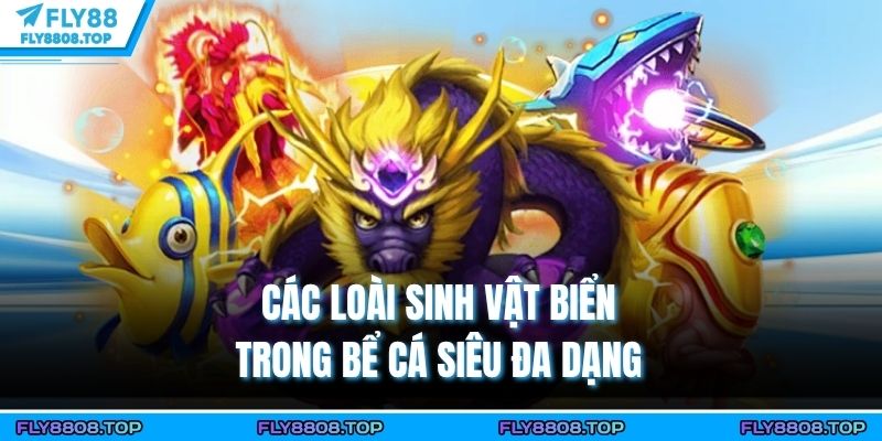 Các loài sinh vật biển trong bể cá siêu đa dạng