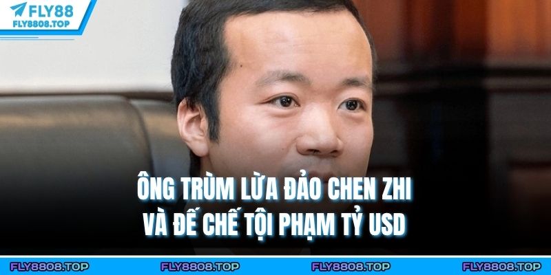 Ông Trùm Lừa Đảo Chen Zhi